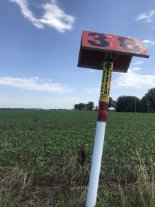 Numbered sign in field